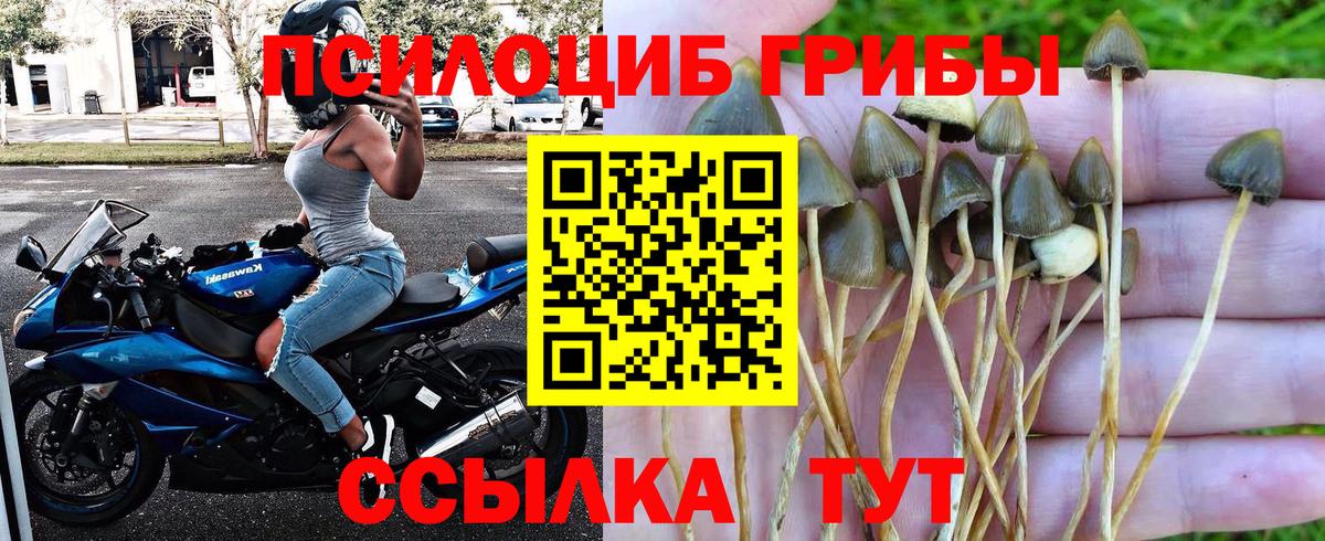 Псилоцибиновые грибы ЛСД Ноябрьск