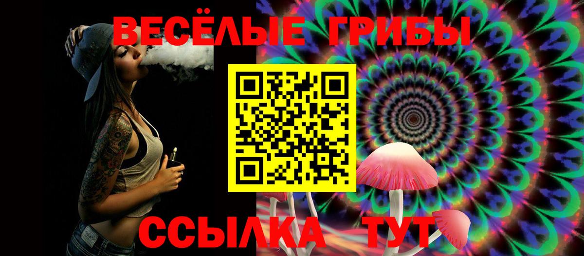 где купить наркоту  Вход с VPN  Ноябрьск  Псилоцибиновые грибы прущие грибы 