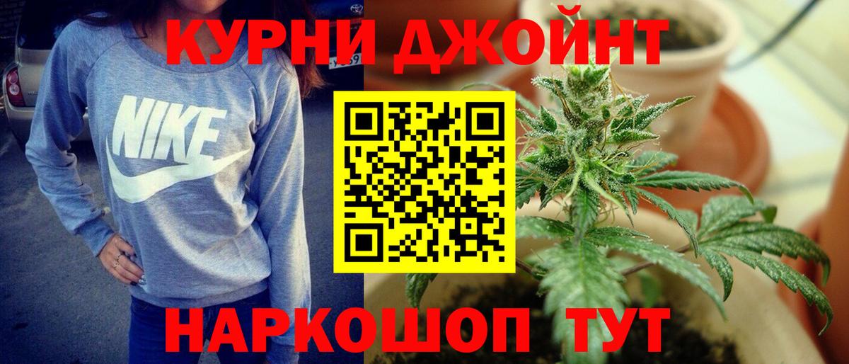 МАРИХУАНА семена Ноябрьск